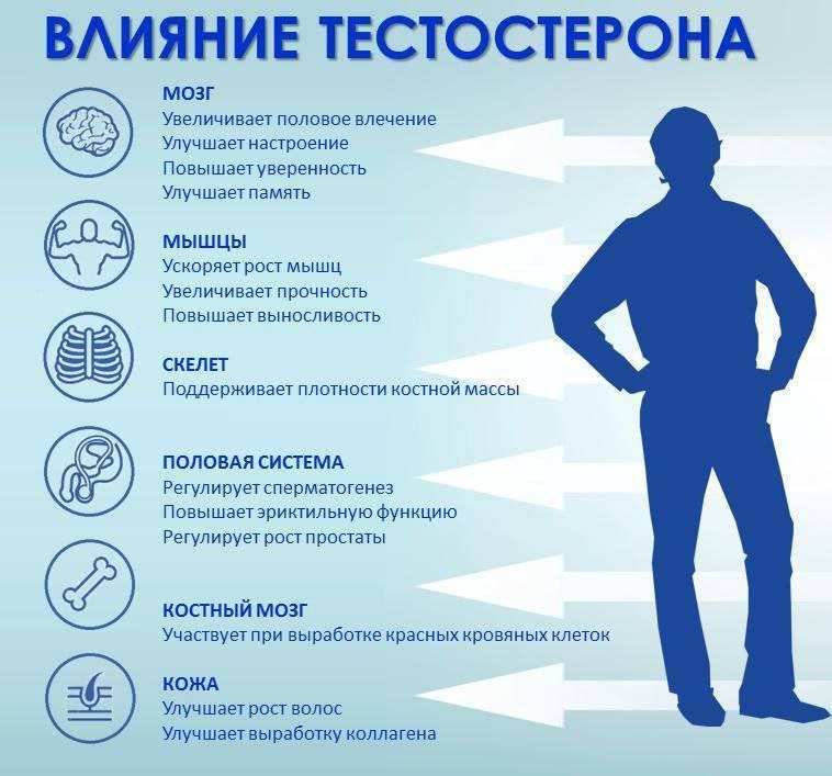 Тестостерон плюс — натуральный препарат для увеличения уровня тестостерона