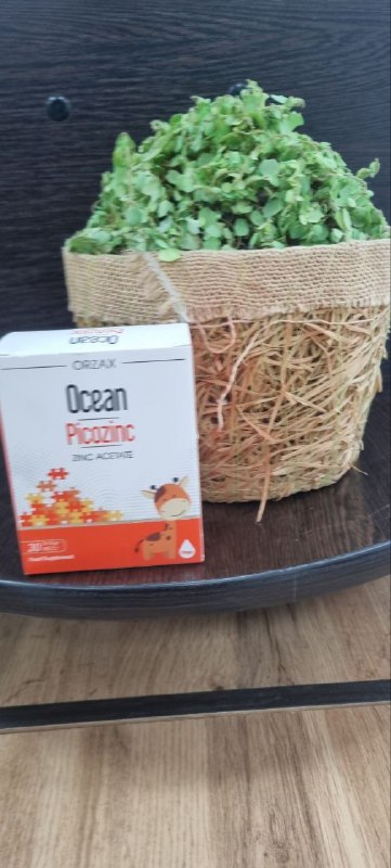 PicoZinc 30 ml — жидкая добавка с ионами цинка